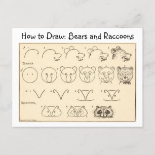 How to Draw a Bear and Racoon Vintage Postcard