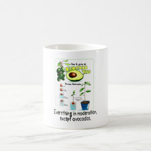 How To Grow An Avocado Tree  Coffee Mug