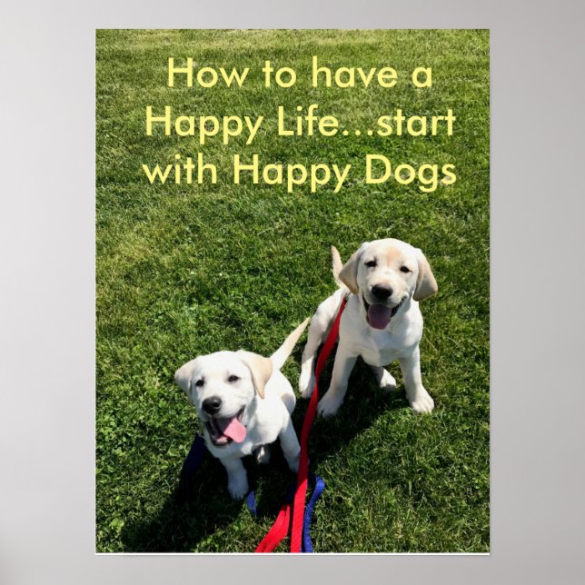 How to have a Happy Life...start with Happy Dogs Poster (Front)