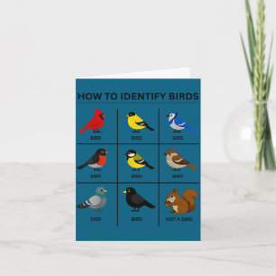 How to identify a bird funny birdwatching cute card