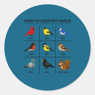 How to identify a bird funny birdwatching cute classic round sticker