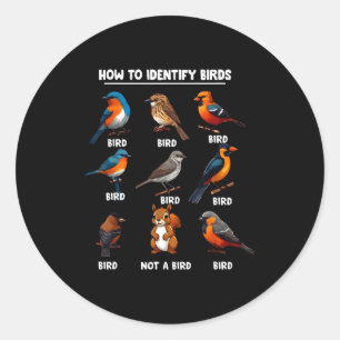 How To Identify Birds Funny Birds Identification B Classic Round Sticker