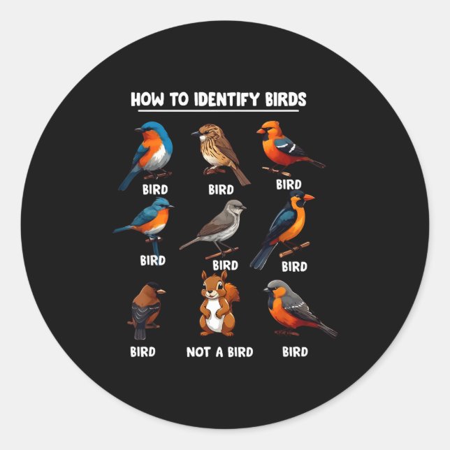 How To Identify Birds Funny Birds Identification B Classic Round Sticker (Front)