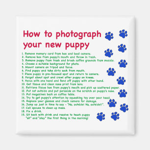 How to photograph your new puppy magnet