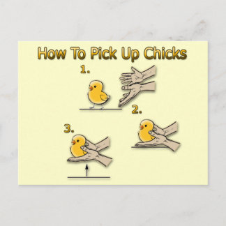 How To Pick Up Chicks Funny Directions Postcard