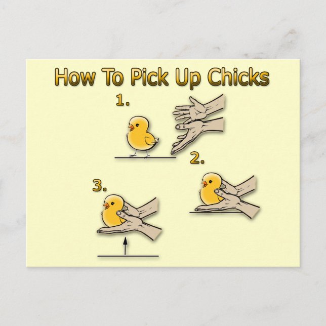 How To Pick Up Chicks Funny Directions Postcard (Front)