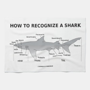 How To Recognise A Shark (Biology Humour) Tea Towel