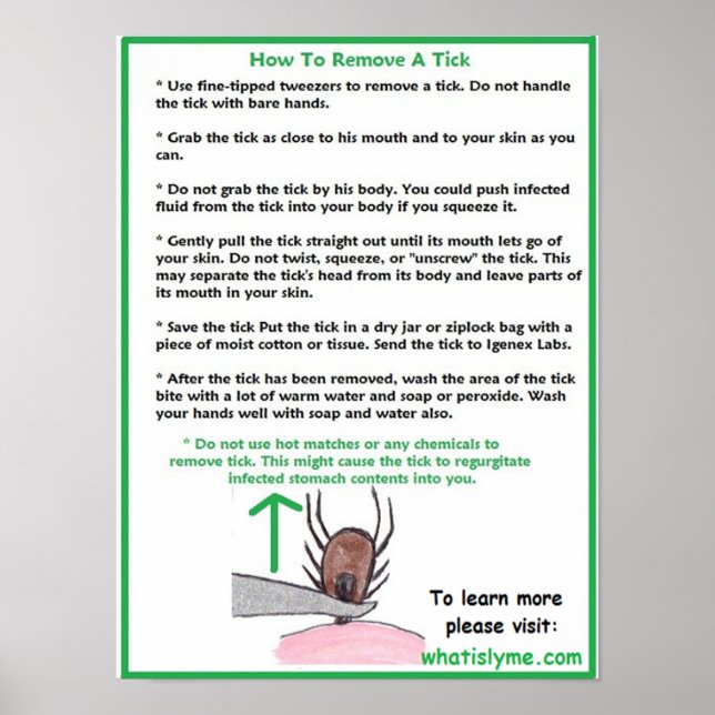 How to Remove a Tick Educational Poster (Front)