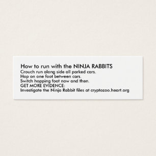 How to run with the NINJA RABBITS