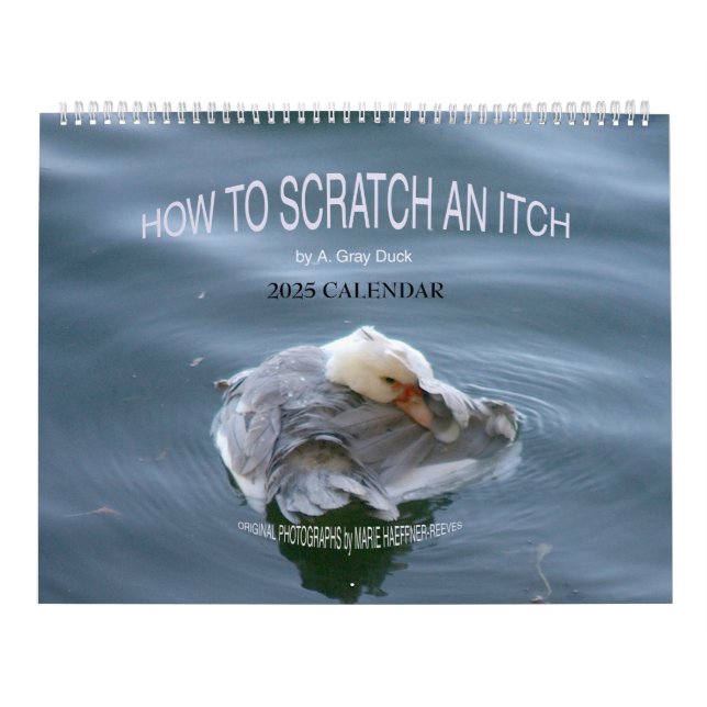 HOW TO SCRATCH AN ITCH by A. Grey Duck 2025 Calendar (Cover)