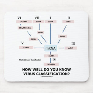 How Well Do You Know Virus Classification? Mouse Pad