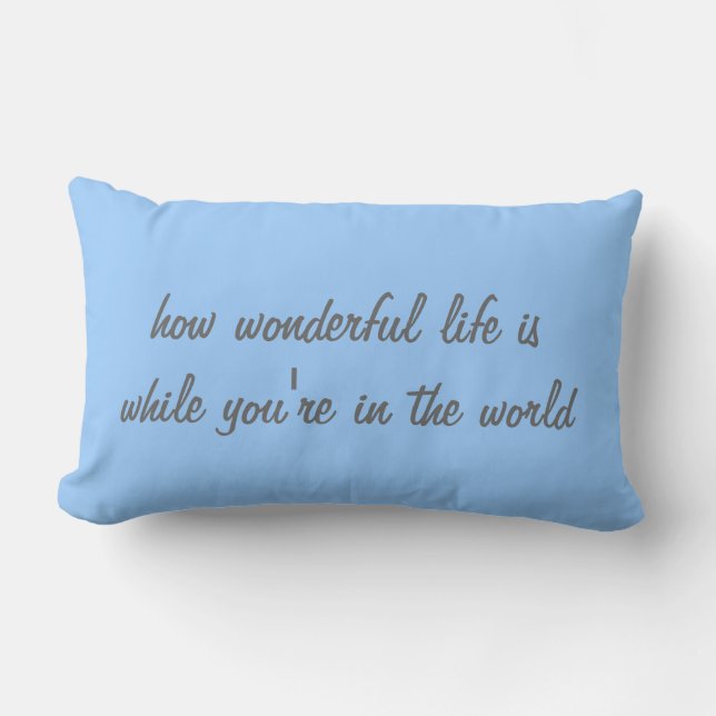 How wonderful lumbar cushion (Front)