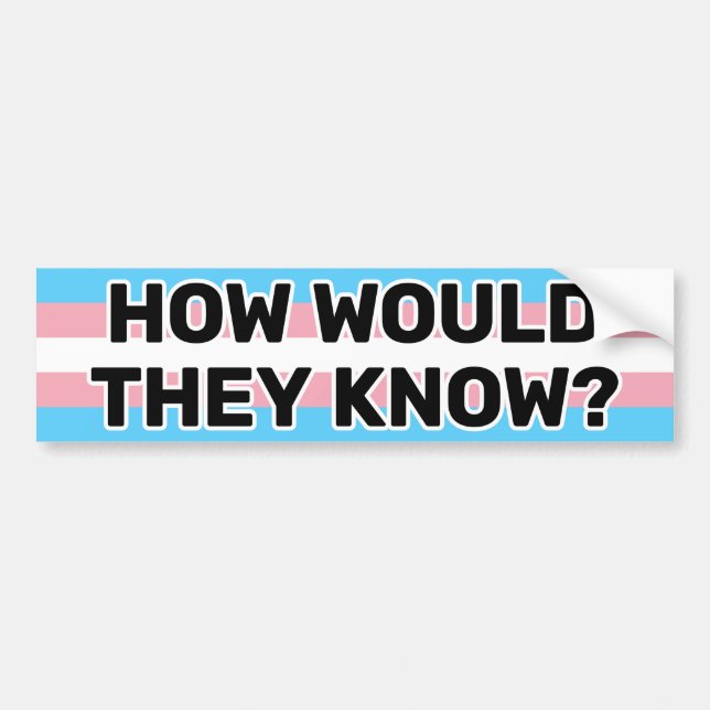 How Would They Know Black Trans Pride Flag Funny Bumper Sticker (Front)