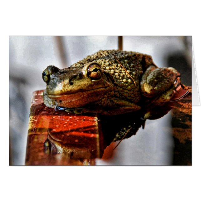 How YOU Doin'? (Front Horizontal)