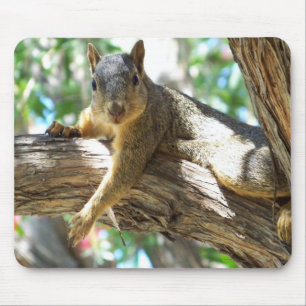How you doing ?_ Mousepad_by Elenne Boothe Mouse Pad