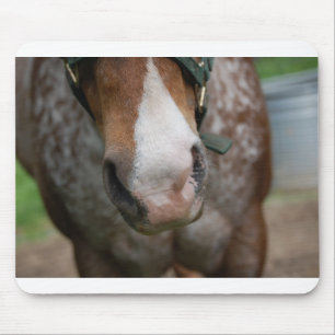 Howdy! Mouse Pad