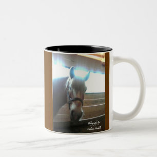 Howdy Mug