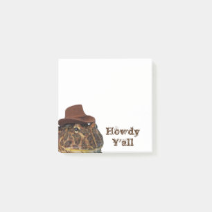 Howdy Y'all Post-it Notes