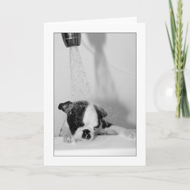 Howie in the Bath Card (Front)