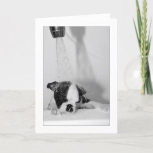 Howie in the Bath Card
