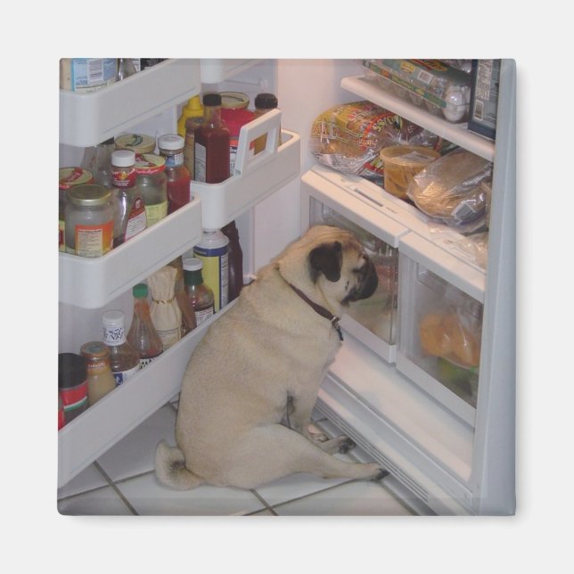 Howie Pee Pugpants Magnet (Front)