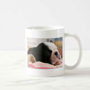 Howie takes a nap Mug