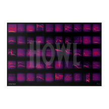 Howl: The Secret Language of Wolves
