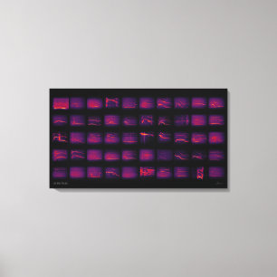 Howl: The Secret Language of Wolves Canvas Print