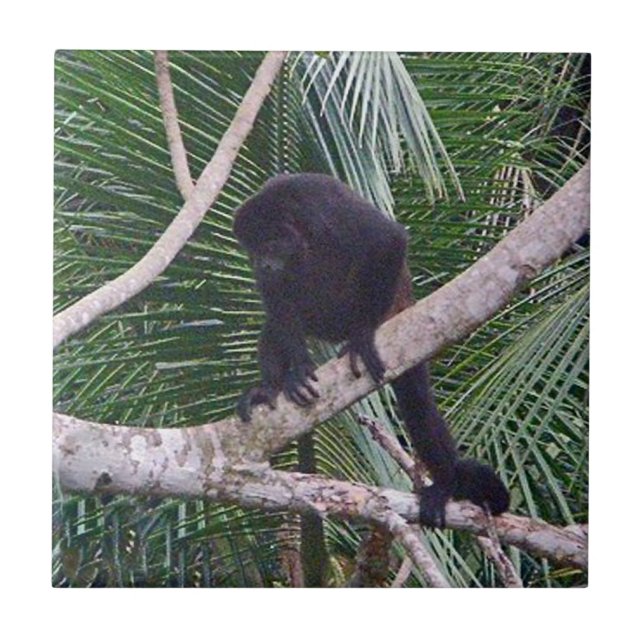 Howler Monkey and Baby Monkey in Costa Rica Jungle Tile (Front)