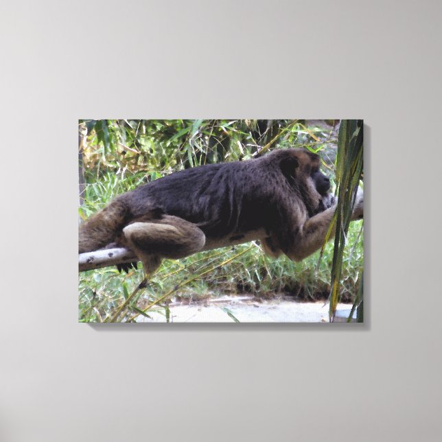 Howler Monkey Hangout Canvas Print (Front)