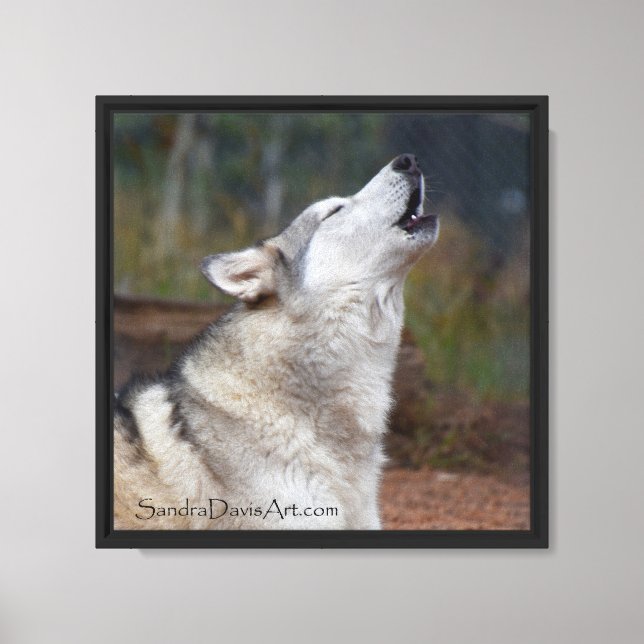 Howling Profile Canvas Print (Front)