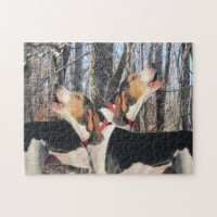 Howling Treeing Walker Coonhounds