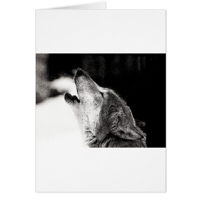 Howling Wolf (Front)