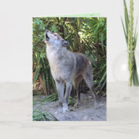 Howling Wolf Birthday Card