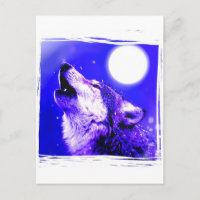 Howling Wolf Blue Moonlight Postcard
