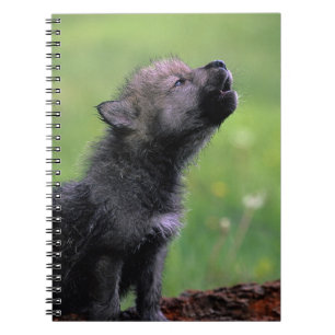 Howling Wolf Cub Spiral Notebook