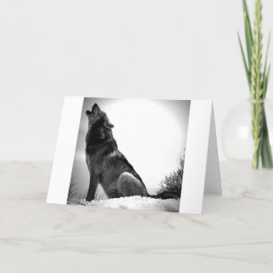 Howling Wolf in Snow Card