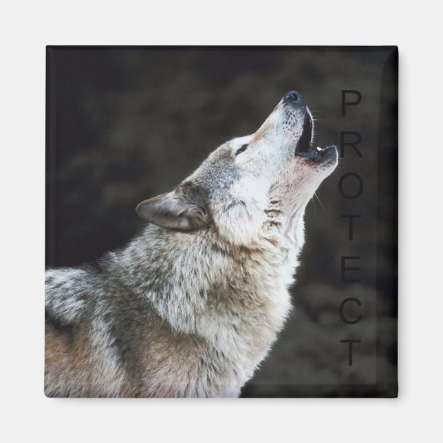 Howling Wolf Magnet (Front)