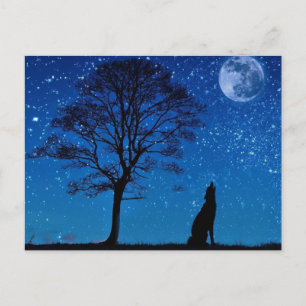 Howling Wolf Postcard
