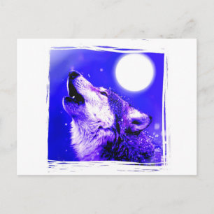 Howling Wolf Postcard