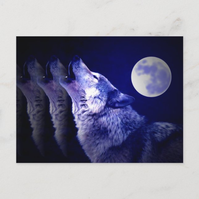 Howling Wolf Postcard (Front)