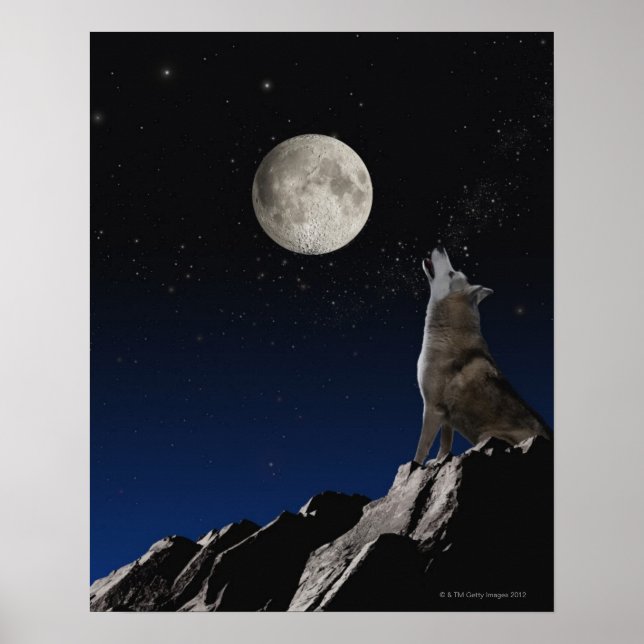 Howling Wolf Poster (Front)