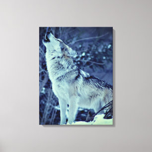 Howling Wolf Winter Forest Canvas Print