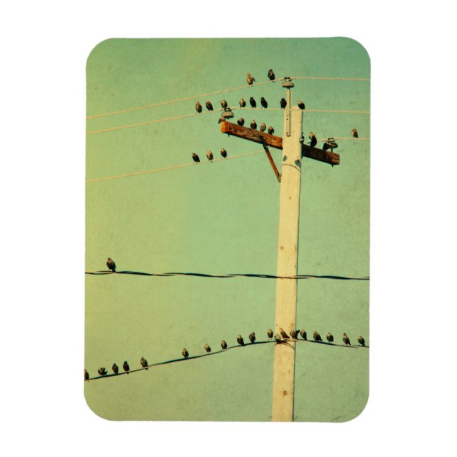 How's That For Tweeters Magnet (Vertical)