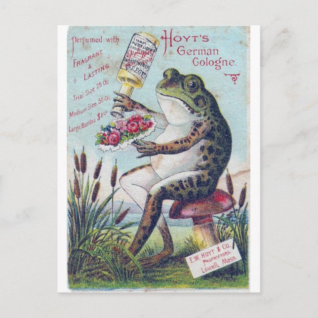 Hoyt's German Cologne Frog Postcard (Front)