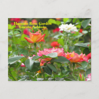 HRG Postcard #300n 0300