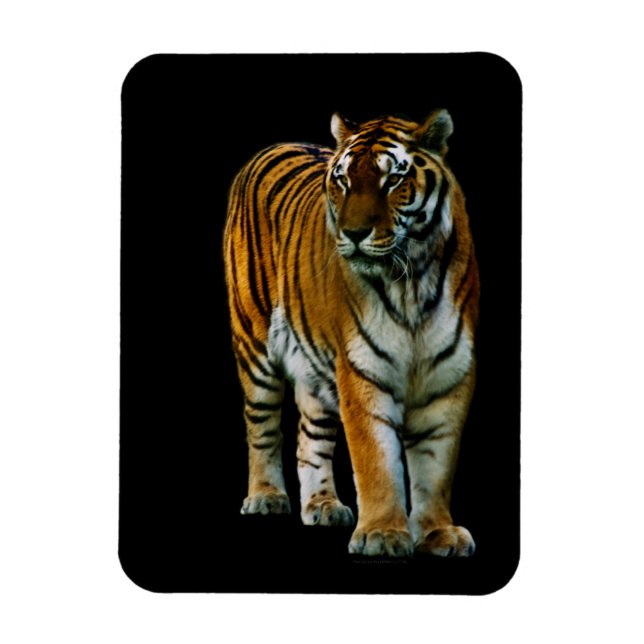 Hu Lin Premium Magnet (Vertical)