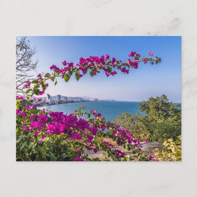 Hua Hin Skyline from Khao Takiab Temple gift Poste Holiday Postcard (Front)