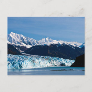 Hubbard Glacier, Alaska Postcard