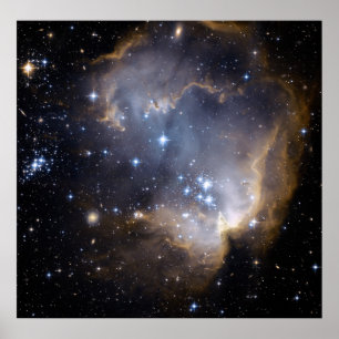 Hubble Observes Infant Stars in Nearby Galaxy Poster